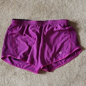 Nike Dry- Fit Lined Shorts